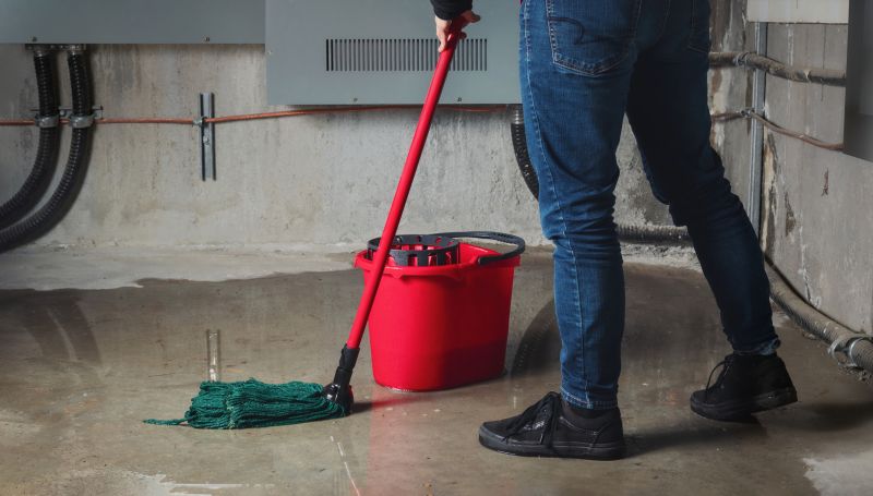 Basement Vacuuming in Kent, WA