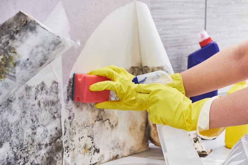 Mold Restoration in Boca Raton, FL