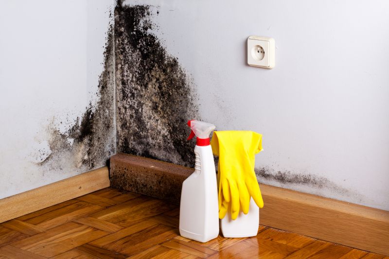 White Mold Mitigation in Fort Lauderdale, FL