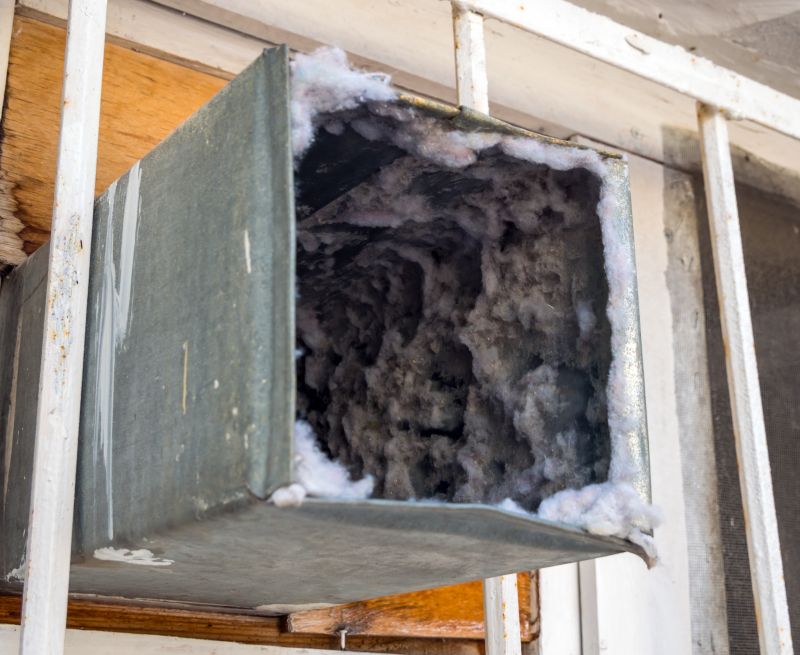 Air Duct Mold Removal in West Palm Beach, FL