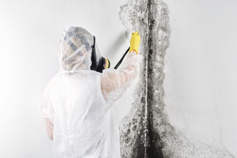 Black Mold Remediation in Jupiter, FL