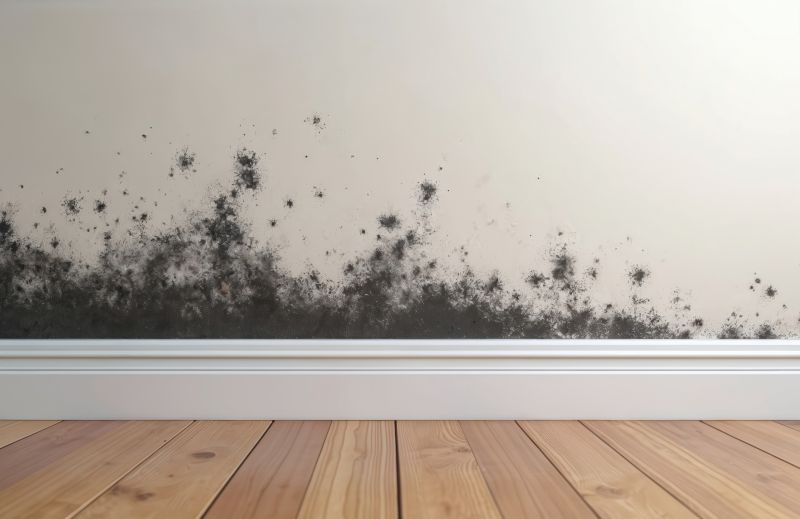 Black Mold Remediation in Jupiter, FL