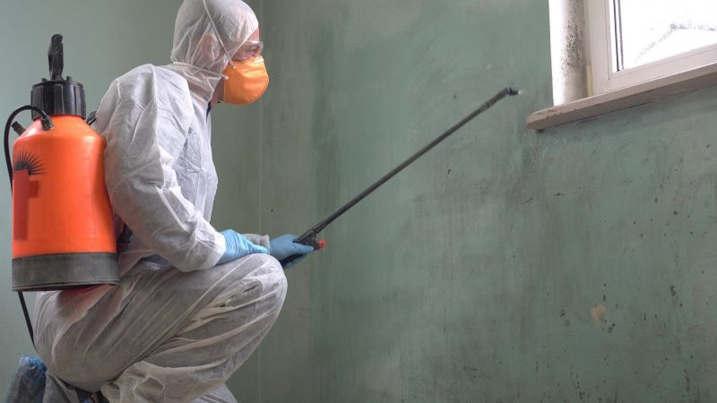 Black Mold Removal in Arlington, TX