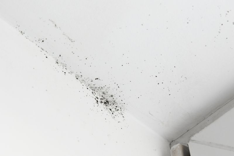 Ceiling Mold Removal in Dallas, TX