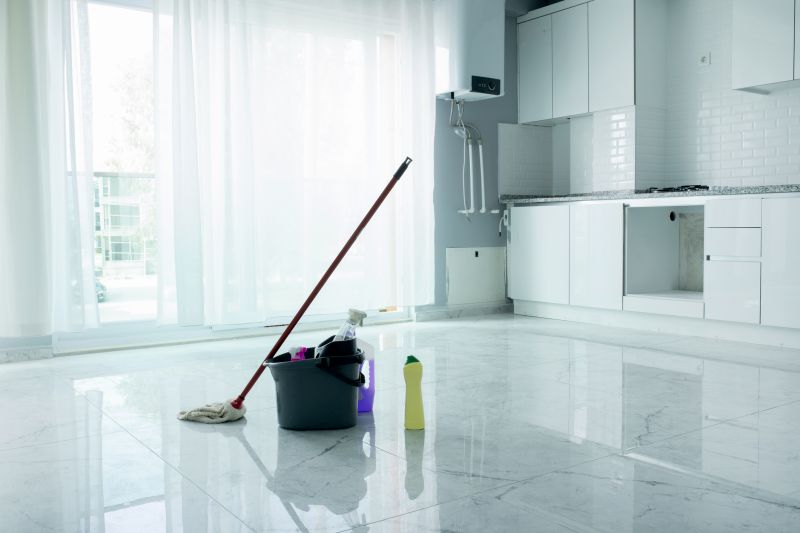 Kitchen Cleaning in Frisco, TX