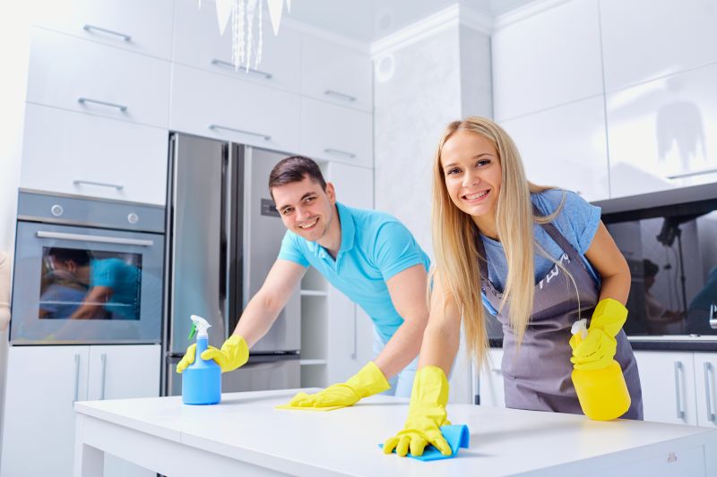Kitchen Cleaning in Redmond, WA
