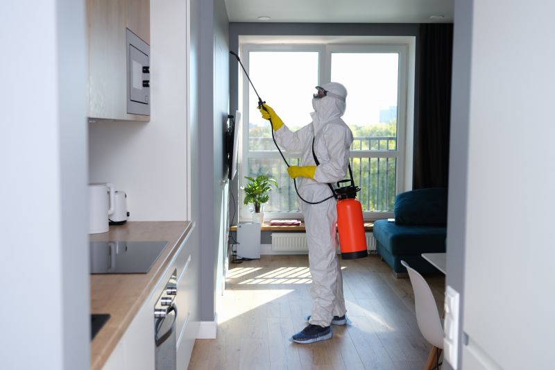 Mold Abatement Service in Jupiter, FL