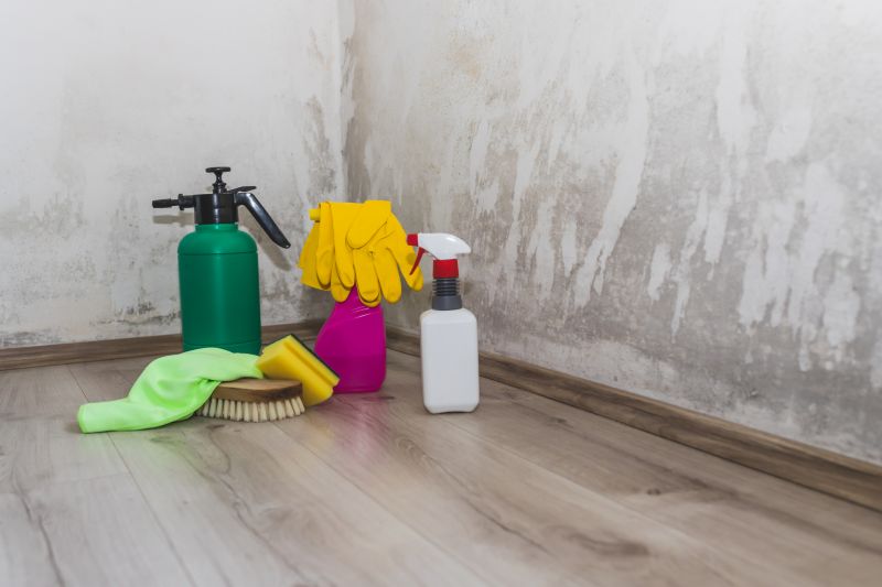 Mold Cleanup Service in Frisco, TX