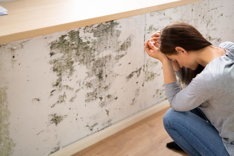 Mold Detection in Boynton Beach, FL