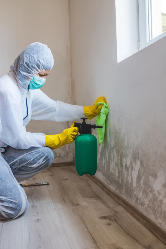 Mold Removal in Fort Worth, TX