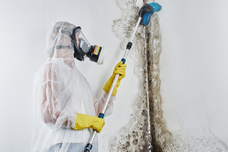 Mold Removal in Broward County, FL