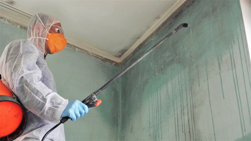 Mold Treatment Service in Bergen County, NJ