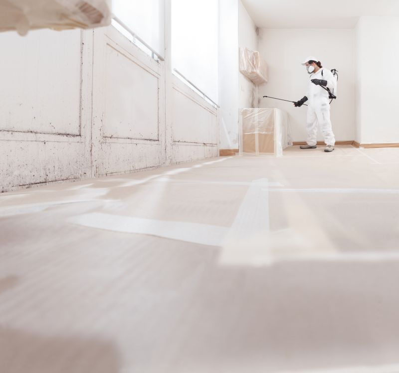 Mold Treatment Service in Frisco, TX