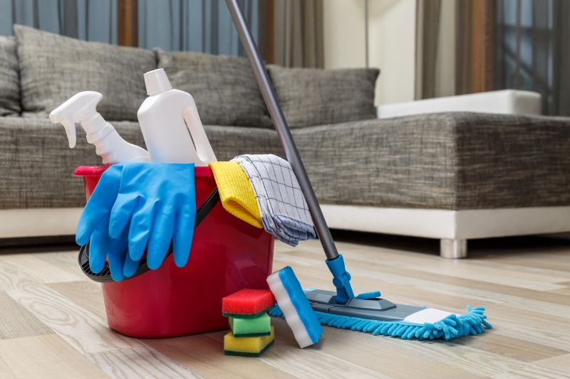 Reo Property Cleaning in Frisco, TX