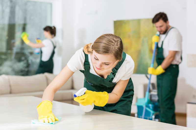 Tenancy Cleaning in Boerne, TX