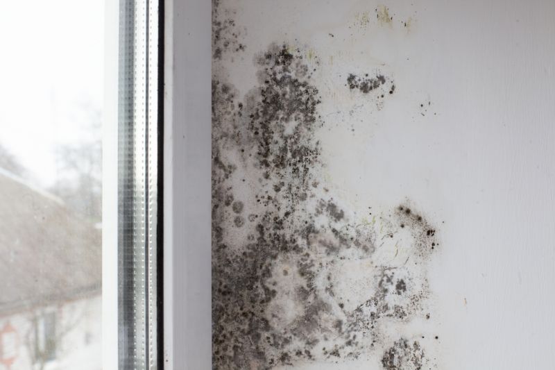 White Mold Mitigation in Jupiter, FL