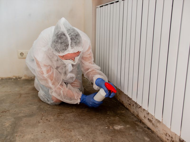 White Mold Mitigation in Bergen County, NJ